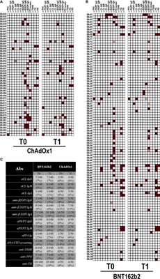 Anti-Phospholipid Antibodies and Coronavirus Disease 2019: Vaccination Does Not Trigger Early Autoantibody Production in Healthcare Workers